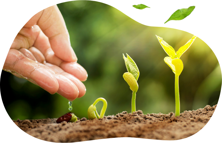 地球的未來靠素食 地球的未來靠素食