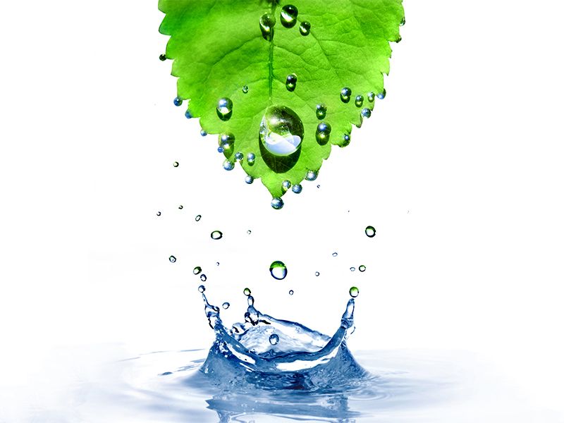 省水小秘訣 抗旱大家一起來