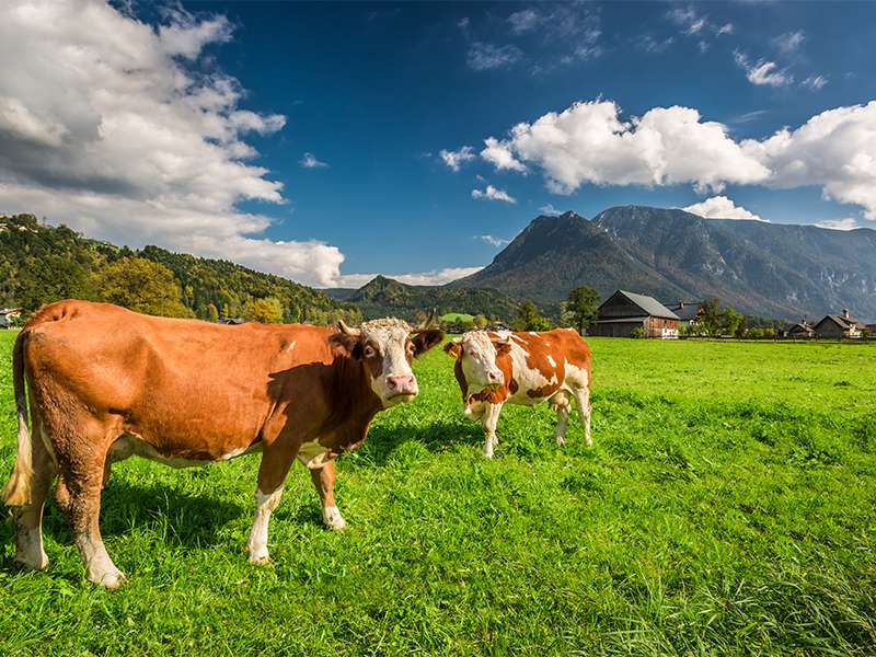 我們吃的每一餐食物，都可能改變世界！