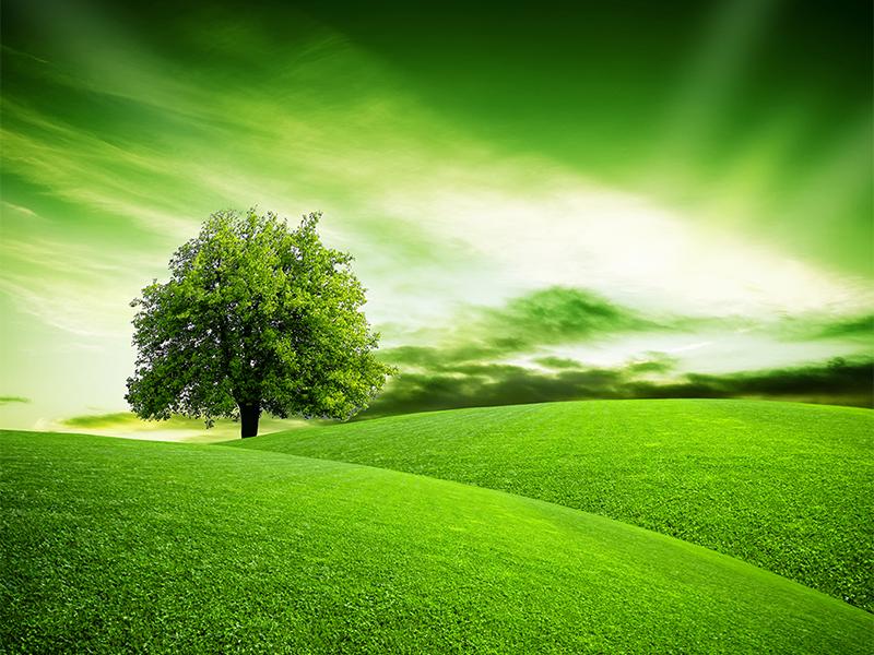 4月22日 世界地球日