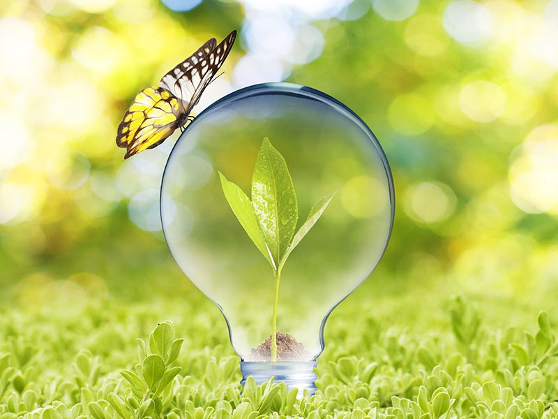 4月22日 世界地球日