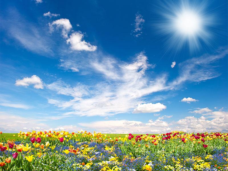 二十四節氣-處暑