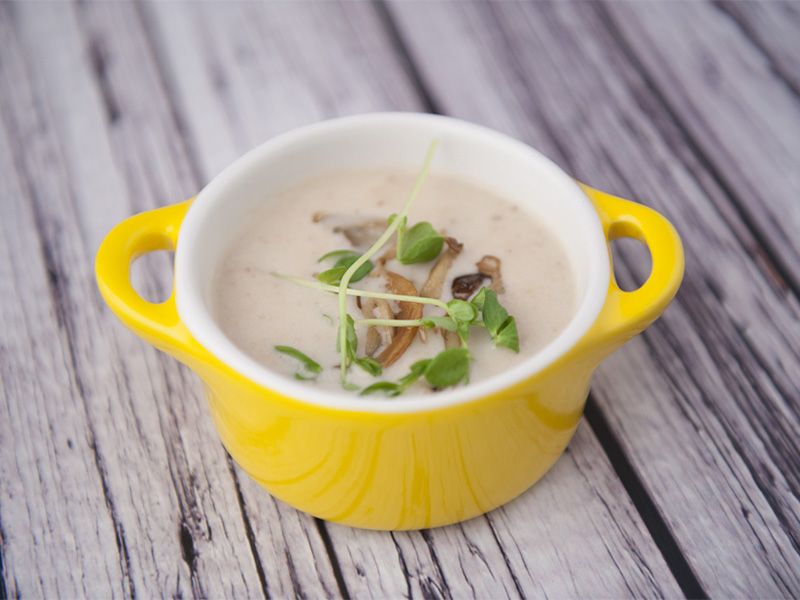 炙炒野蕈菇芽菜濃湯-奶蛋素 炙炒野蕈菇芽菜濃湯-奶蛋素