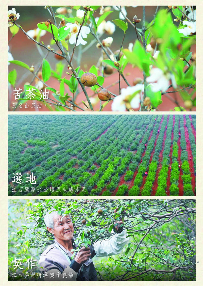 連淨純苦茶油禮盒組(大)