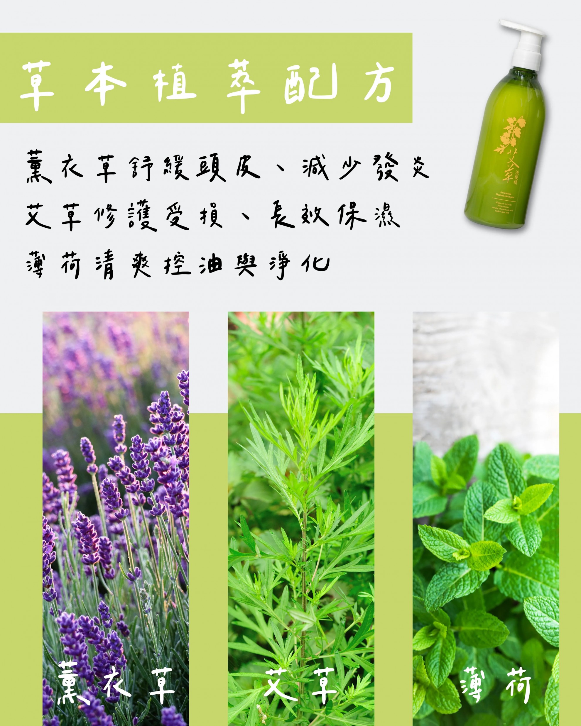 【艾沐時光】禮盒 500g/瓶 【艾沐時光】禮盒 500g/瓶