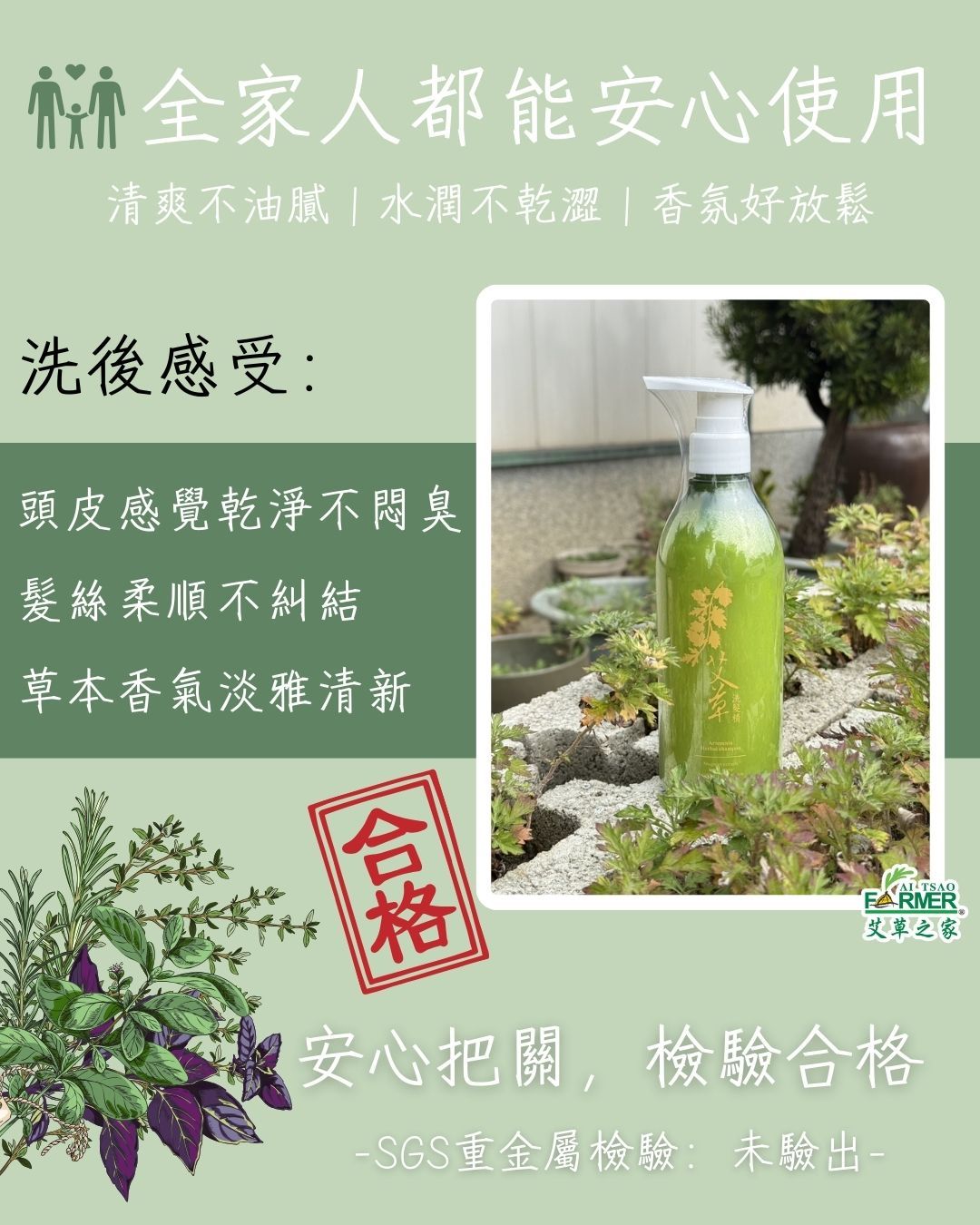 【艾草洗髮精】500g/瓶