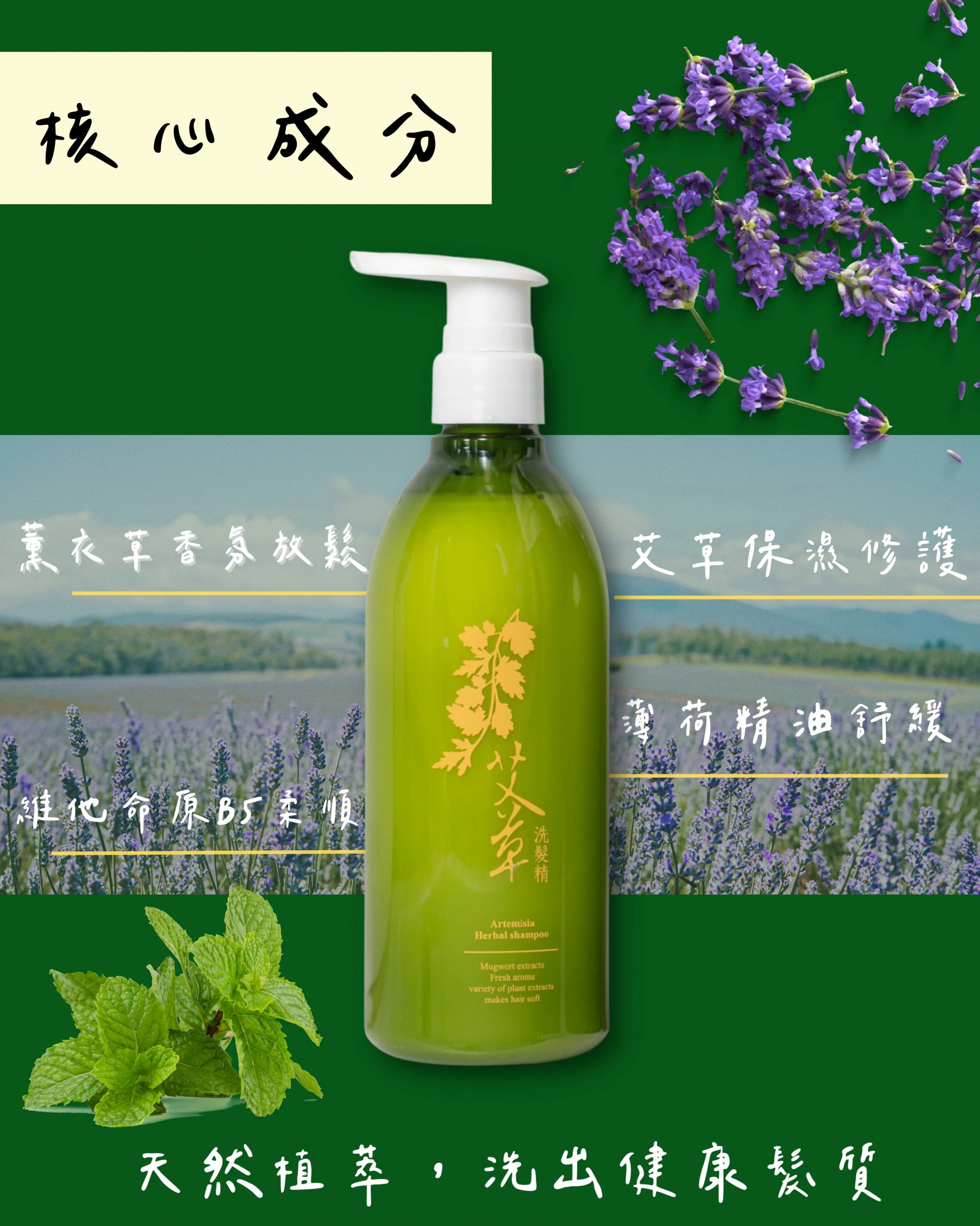 【艾草洗髮精】500ml