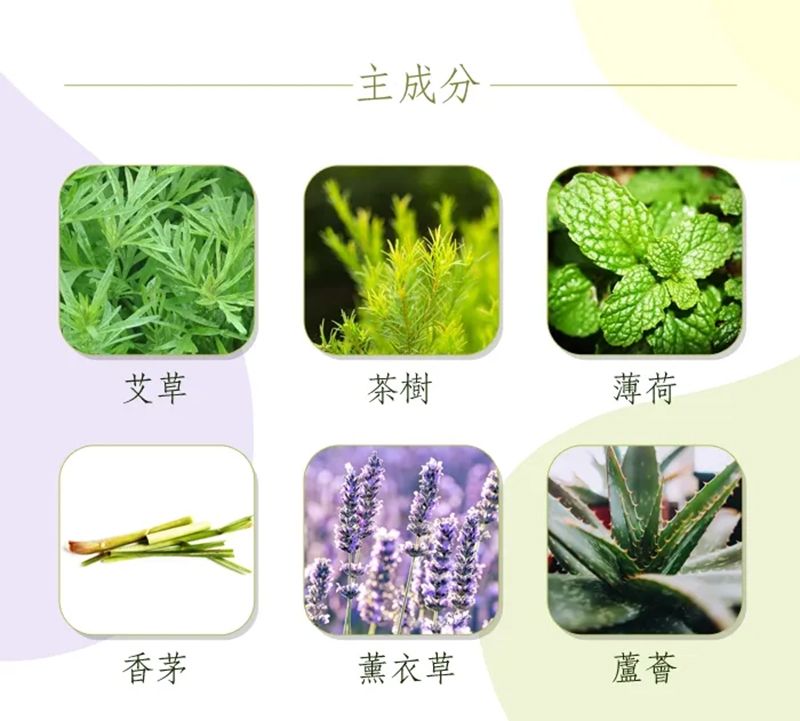 艾草淨化洗手乳