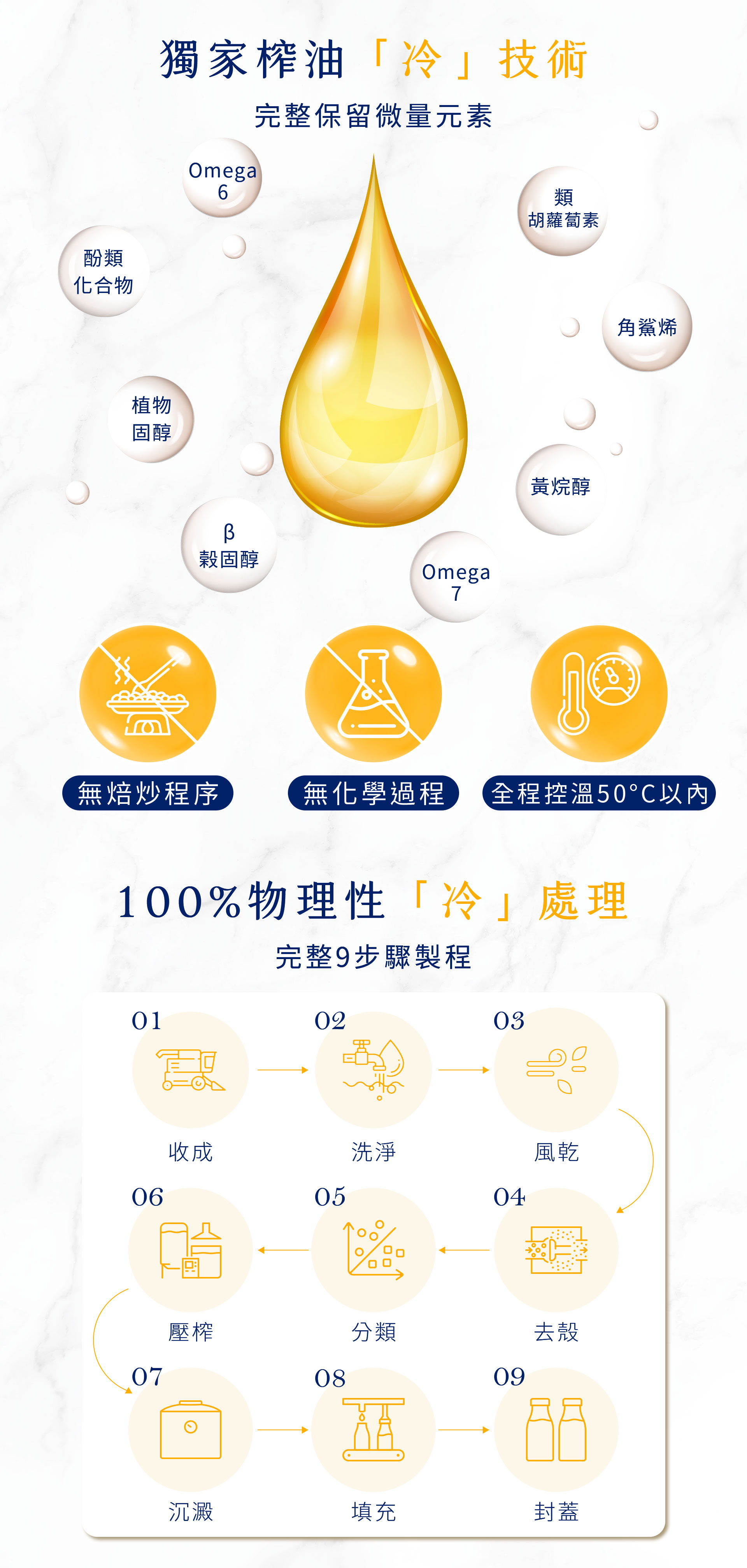 【頂級】美國進口奧勒岡榛果油500ml /純素