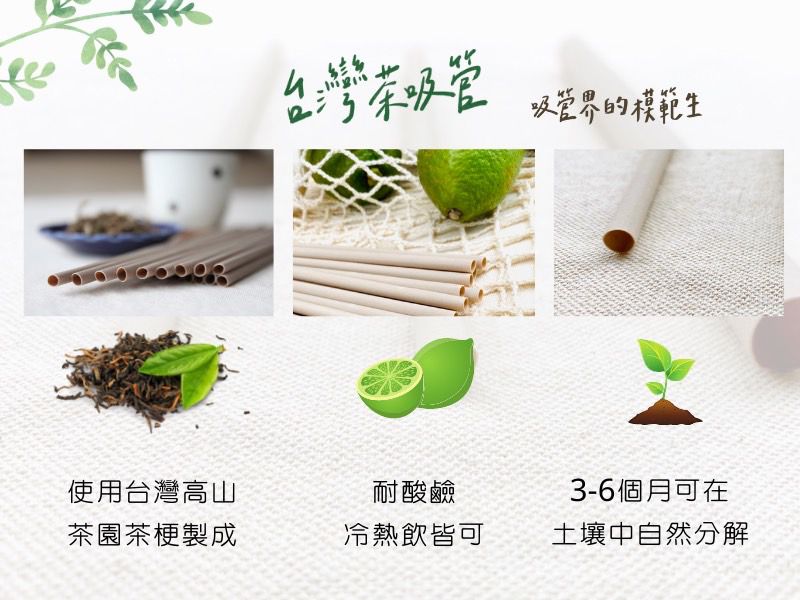 台灣茶吸管 100% 可自然分解
