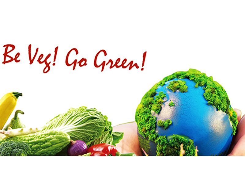 蔬食A計劃連署<蔬食A計劃／世界地球日／為何選擇蔬食／紀錄片＞