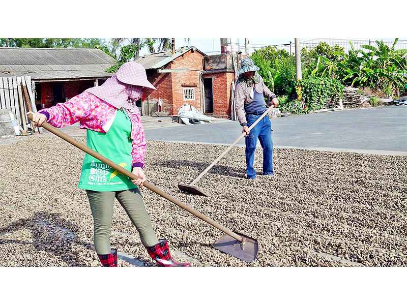 自然農法-日曬花生仁(大包)<1台斤>