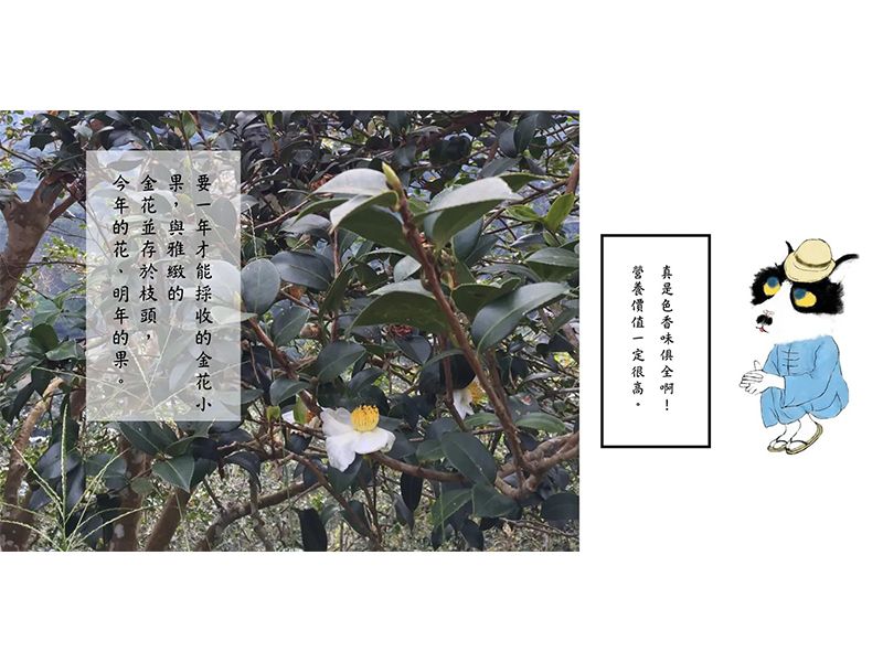 苦茶油禮盒 <暖心暖意金用心＞