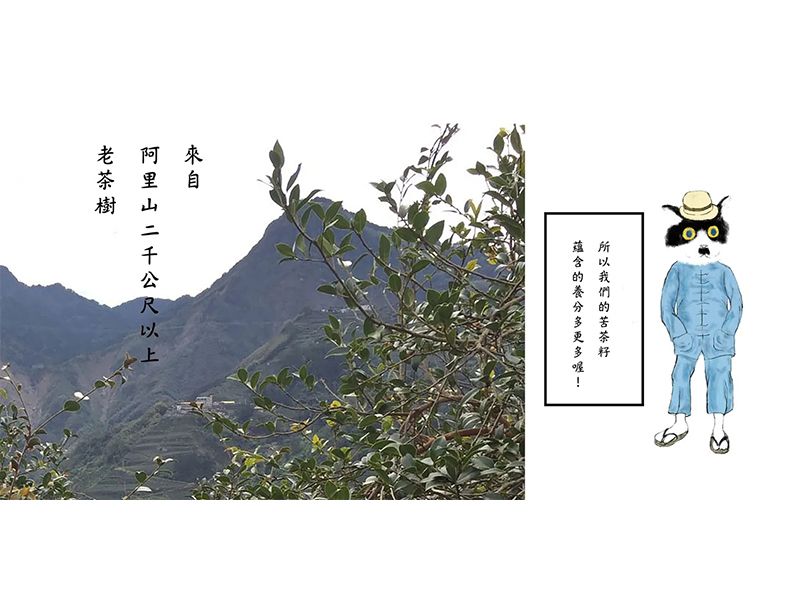 苦茶油禮盒 <暖心暖意金用心＞