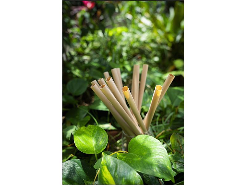 12mm x 210mm 台灣茶吸管(斜口紙包) 125入 12mm x 210mm 台灣茶吸管(斜口紙包) 125入