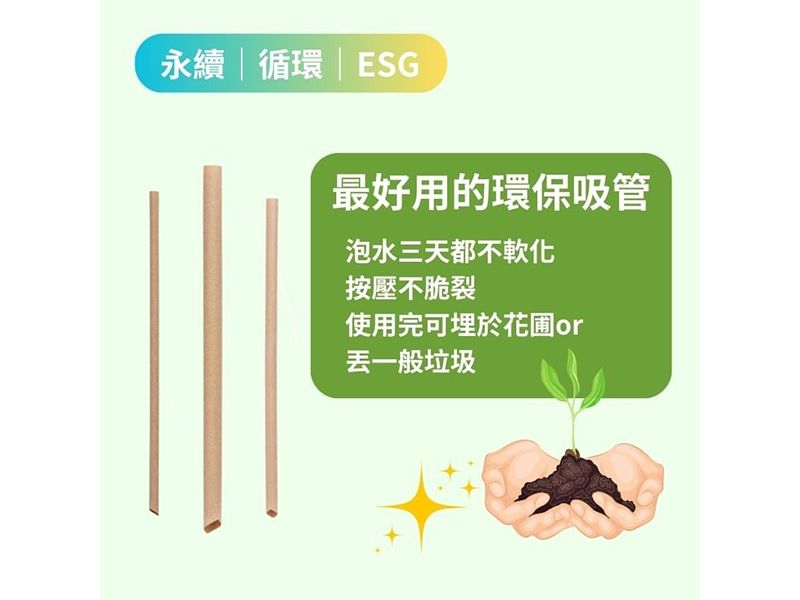 12mm x 210mm 台灣茶吸管(斜口紙包) 125入 12mm x 210mm 台灣茶吸管(斜口紙包) 125入