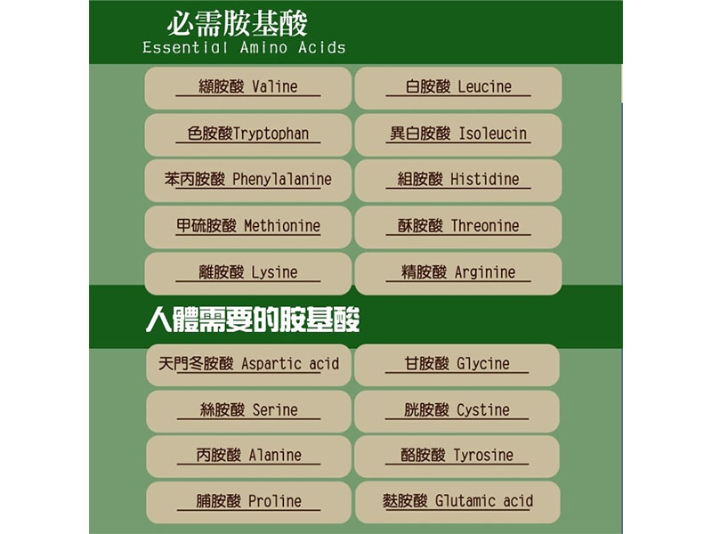 胺基酸酵醋<30cc & 120cc & 500cc & 750cc>