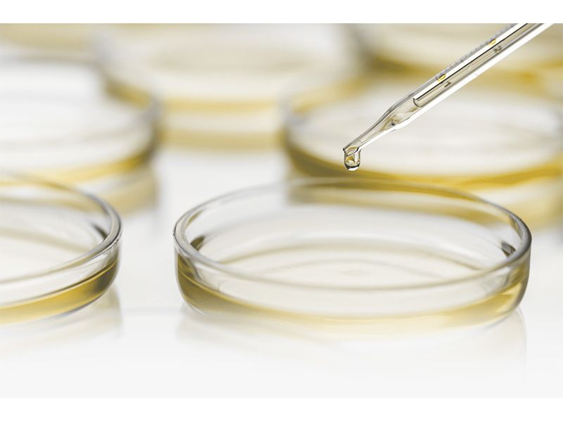 寵愛她鳳梨酵素錠