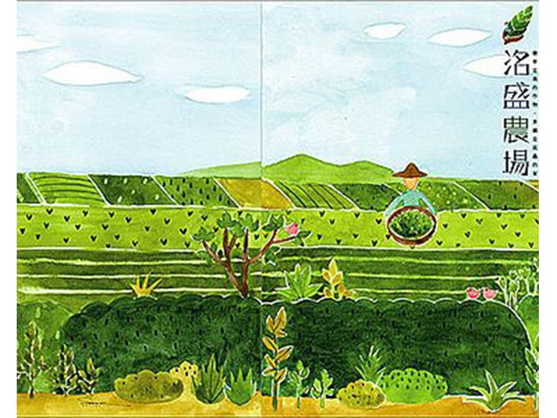 洺盛農場有機茶園