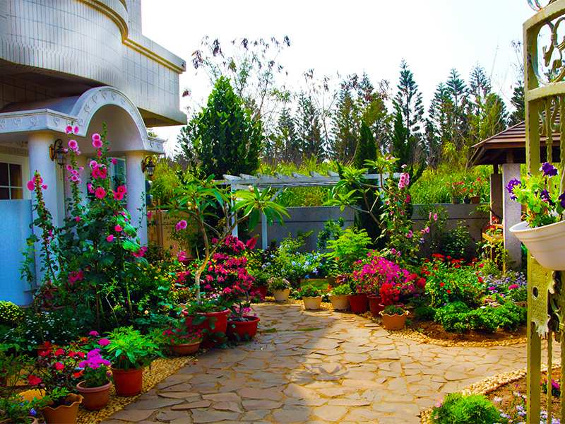 愛家天堂島純素民宿